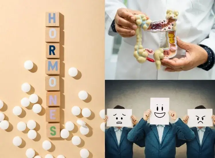 Underlying Health Factors