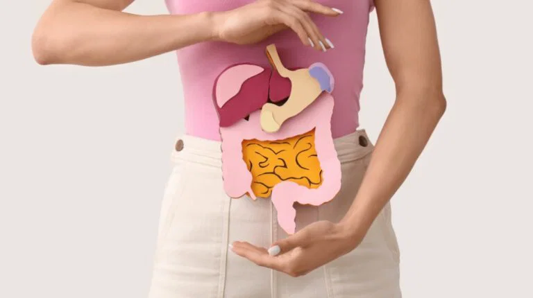 Illustration of the human digestive system showing the stomach, liver, and intestines