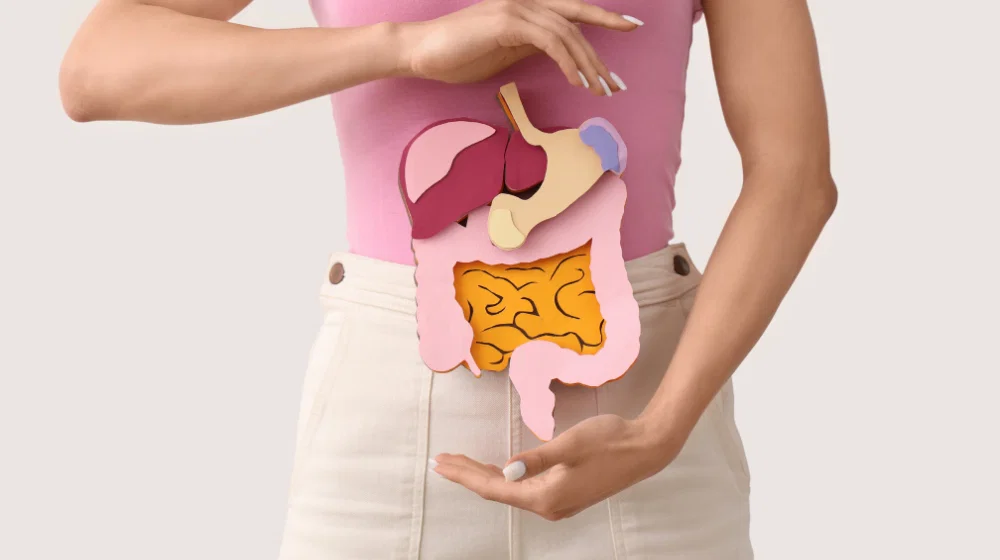Illustration of the human digestive system showing the stomach, liver, and intestines